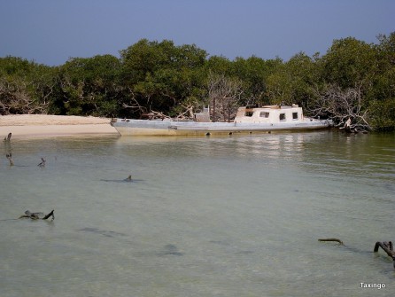 altes Bootswrack in den Mangroven